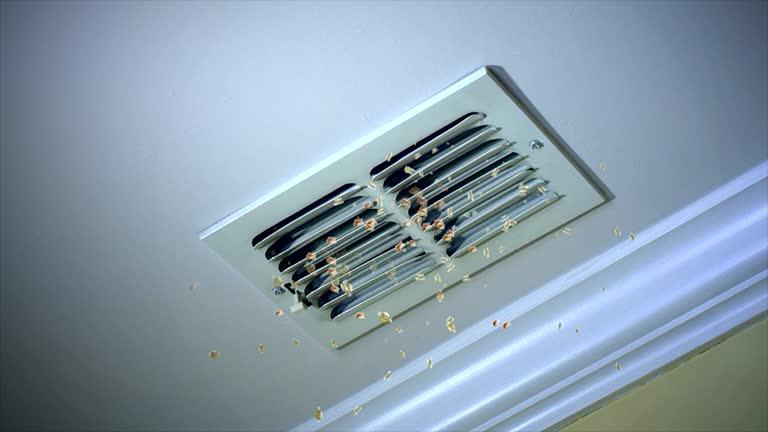 Best HVAC System Cleaning  in Chula Vista, CA