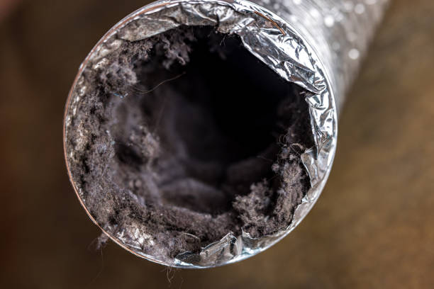 Best Residential Air Duct Cleaning  in Chula Vista, CA